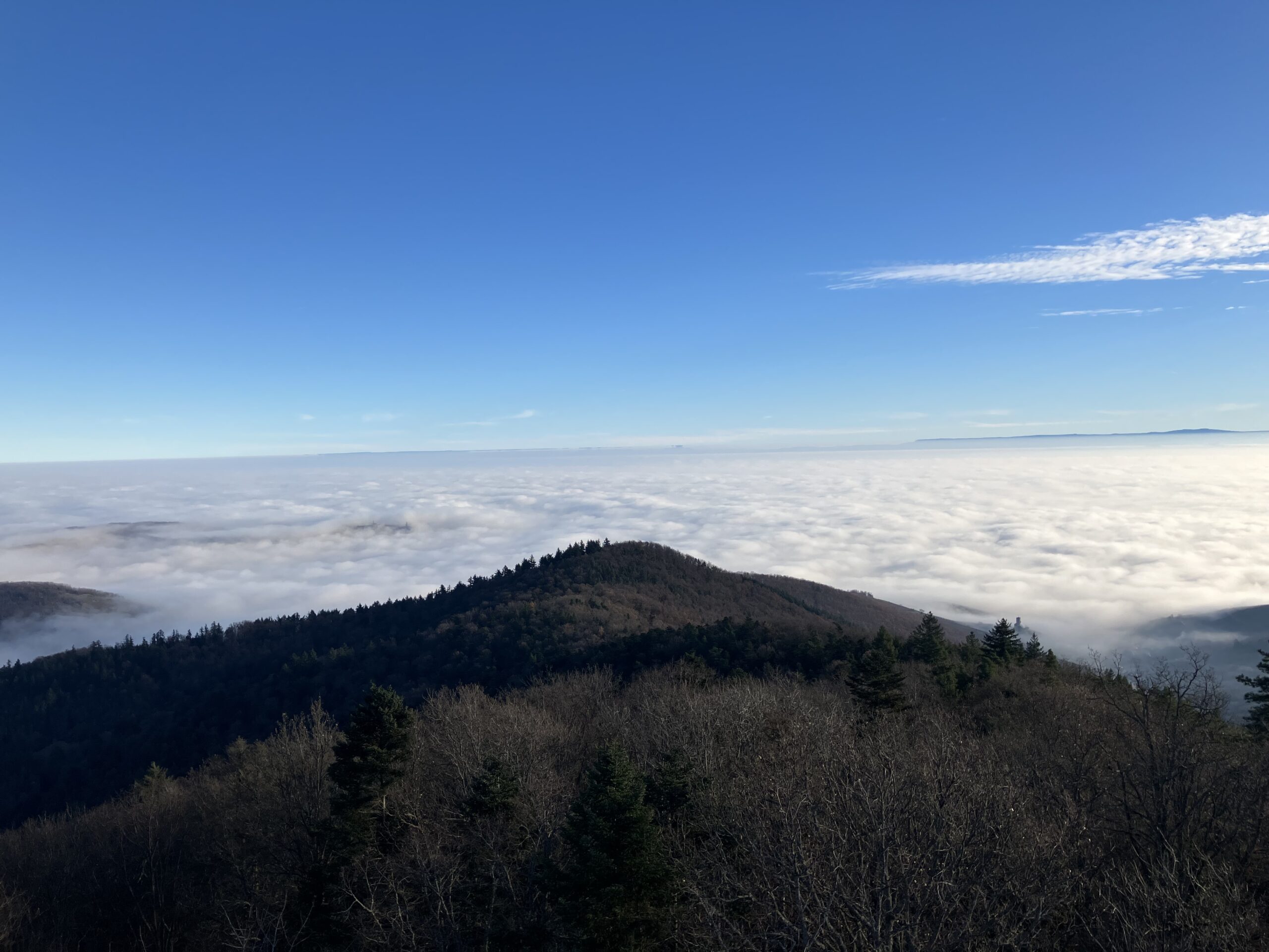 Prendre de la hauteur et y voir clair